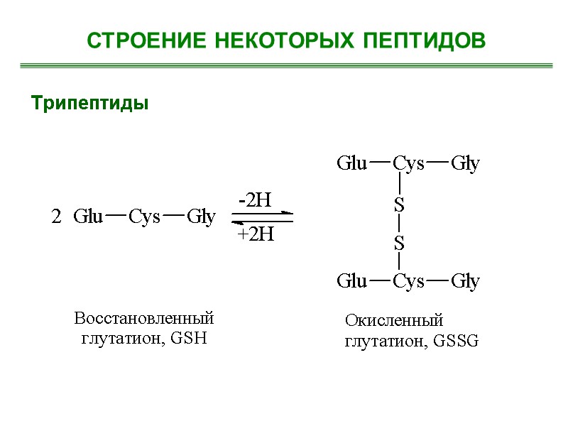 Трипептиды  СТРОЕНИЕ НЕКОТОРЫХ ПЕПТИДОВ